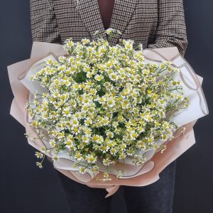 Букет из ромашек 25шт