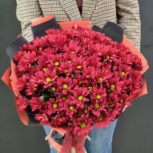 Букет из красных кустовых хризантем "Bontempi" 15шт