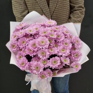 Букет из розовых хризантем "Optimist" 15шт