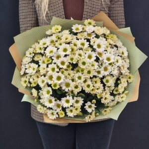 Букет из белых сантини 25шт