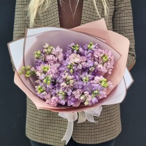 Букет из нежных маттиол 19шт