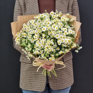 Букет из ромашек 25шт